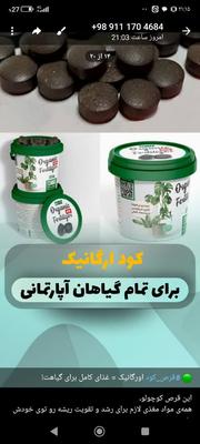 قرص کود در گرگان