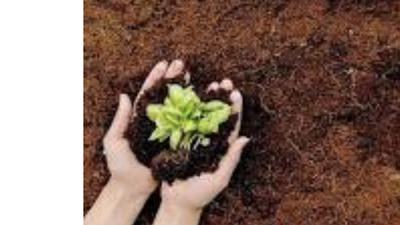 خاک باغچه مرغوب خاکستری در مشهد