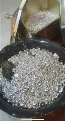 ساچمه نقره در تهران