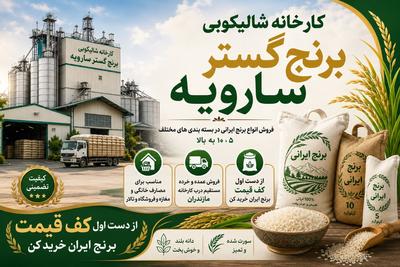 فروش ویژه برنج ایرانی کف قیمت مستقیم درب کارخانه به صورت عمده وخرده در ساری