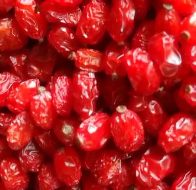 زرشک پفکی درجه یک امسالی در تهران
