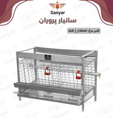 قفس یک طبقه مرغ تخمگذار در اهواز