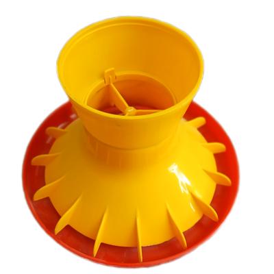 دانخوری در شیراز