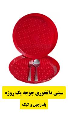 سینی جوجه بلدرچین یک روزه در شیراز