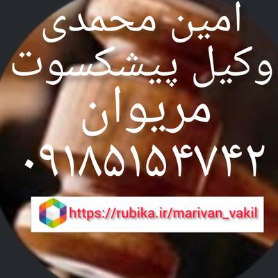 وکیل پیشکسوت قبولی سال 1381 آزمون وکالت در مریوان