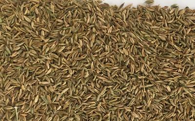زیره سبز در اصفهان