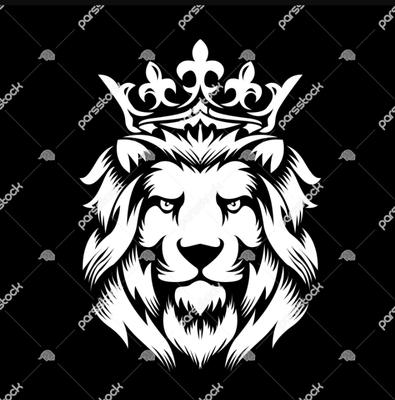 پکیج مرکزی پرند در پرند