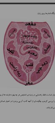 مشاوره رایگان در تاکستان