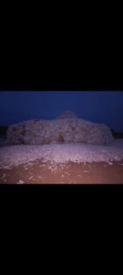 آهک زنده از مرغوب تدین سنگ آهک در سبزوار