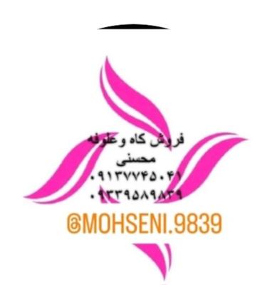 علوفه دامی در یزد