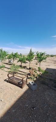 فروش زمین برقلعه شور با متراژهای مختلف/فرصت طلایی در اصفهان