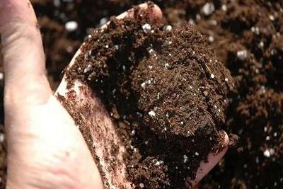 سوپر سویل Super Soil در اصفهان