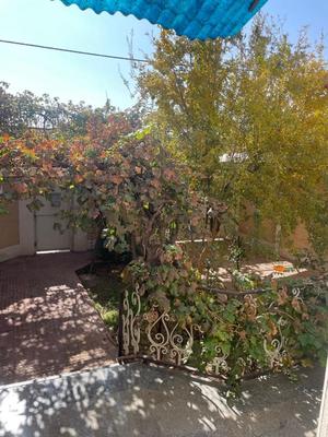 مشاعی طبقه همکف شمالی در پرند