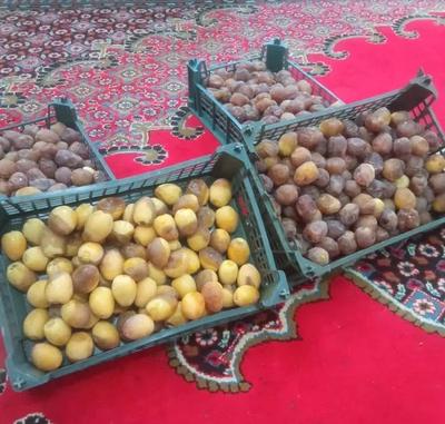 رطب برحی آبادان در اهواز