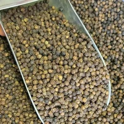کندر خوراکی .فلفل سیاه 6میل در کرج