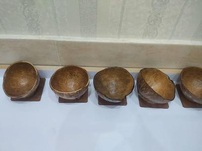 ظروف پوست نارگیل ۸ تیکه در کازرون