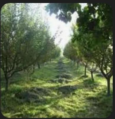 باغچه چاردیواری سندی در ملارد
