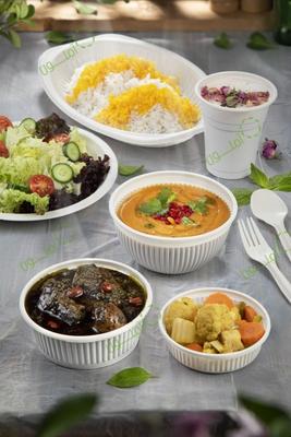 فروش عمده ظروف یکبار مصرف گیاهی آملون در تهران
