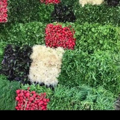 صیفی جات به قیمت میدان بار.‌ سبزی تره و تازه در مشهد