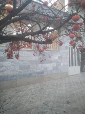 خانه ویلایی ۲ خوابه ایثار در بروجرد