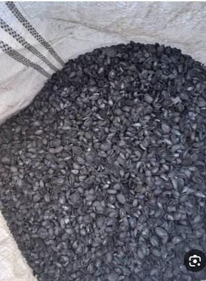 خاک اره پوست گردو خاک ذغال کربن پسته سی ام سی در تهران