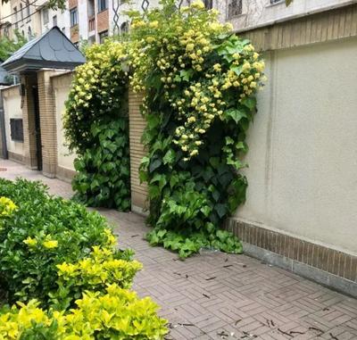 تاپ لوکیشن خوارزم شهرک غرب*۱۴۰ متر۲ خواب* در تهران