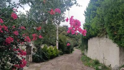 زمین چالوس تهاتر با خودرو در تهران