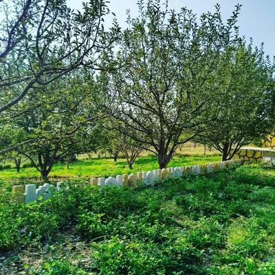 فروش باغ با چاه آب مجوز دار در تبریز