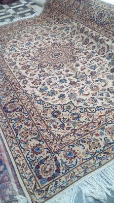 ۶ متری جفت یزد گوشتدار سالم در کرج
