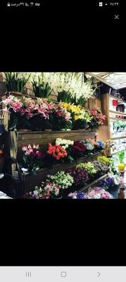 کار شراکتی در دفتر باربری در سلمان‌شهر