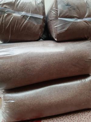 سماق درجه یک آسیاب شده در مریوان
