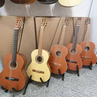 گیتار پارسی پرو در تهران