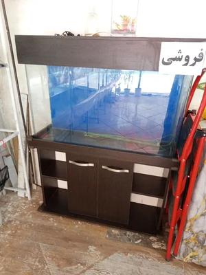 اکواریوم با پایه در کرج