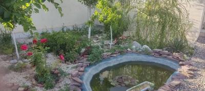 باغ باغچه زمین آبمداربرق دور دیوار نهالکاری معاوضه در مشهد