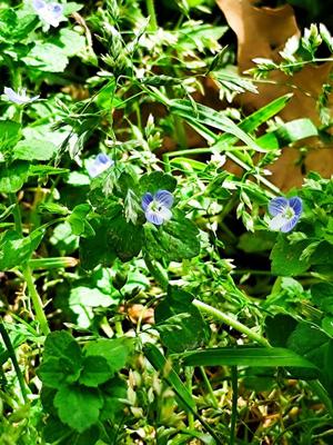 400متری 4خواب غرق نور در اصفهان