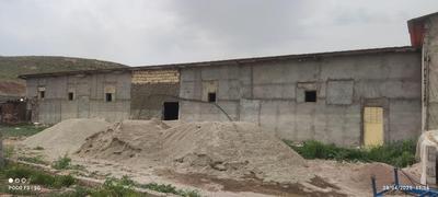 گاوداری.چهار دیواری در تاکستان