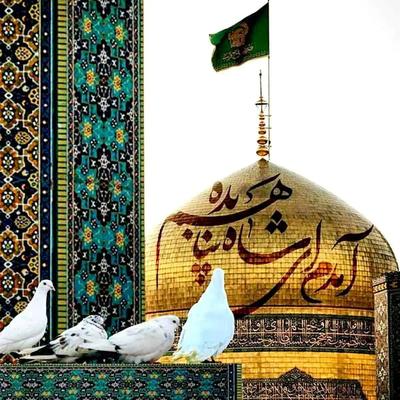 یک شب اقامت رایگان مشهد تا ۱۰ مرداد در قم
