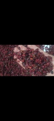 زرشک پفکی مخصوص رستوران و مطبخ در کرج