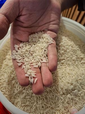بنکداری تقی زاده در کرج