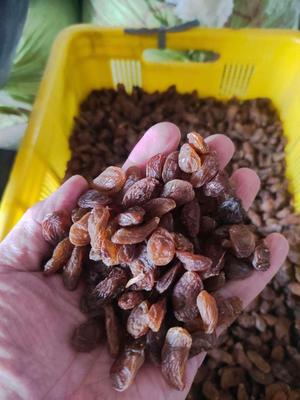 انواع کشمش گله100% آفتابی کاشمرودرگزقوچان( عابد) در مشهد