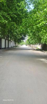 250 متر زمین سند شش دانگ چهارباغ در چار باغ - البرز