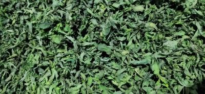 سبزی شسته و خشک بسته‌بندی در قم