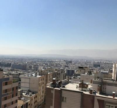 ویلایی ۳۰۰متری ویودار در شیراز