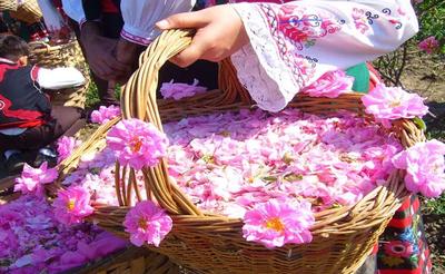 تور گلابگیری کاشان در یزد