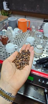 دون قهوه عمده کوئین در ساری