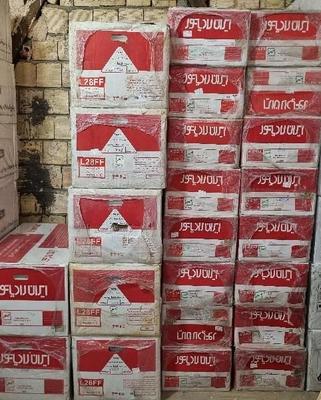 پکیج شوفاژ دیواری ایران رادیاتور L28FF تا۲۳۰متر در کرمانشاه