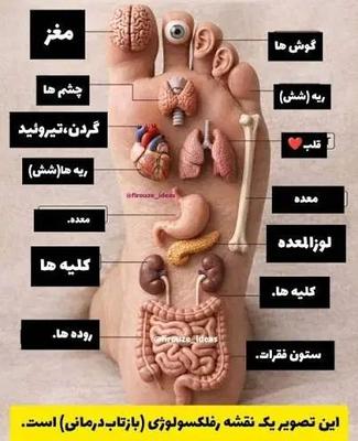 حجامت،طب سوزنی و بادکش در تهران