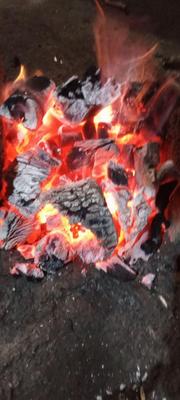 ذغال درجه یک در رانکوه
