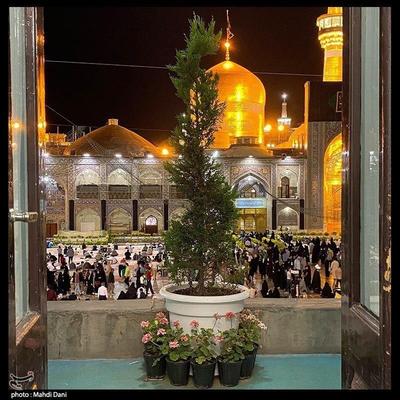تور مشهد با اتوبوس قطار هواپیما قسطی در شیراز