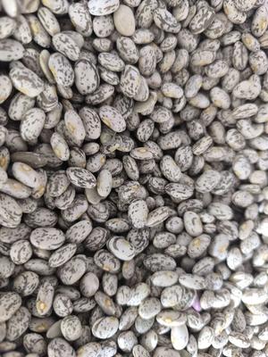لوبیا چیتی و روغن و رب در جمعه بازار در برازجان